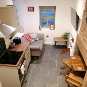 The Burrow